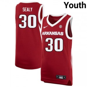 Youth Isaiah Sealy Cardinal University of Arkansas #30 University Jersey 749996-793